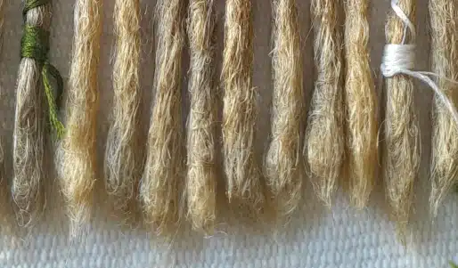 Dreads aux pointes arrondies façon rasta